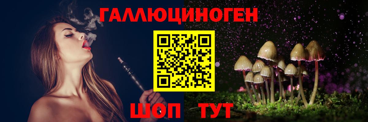 Михайловка  Галлюциногенные грибы Psilocybe  Галлюциногенные грибы GOLDEN TEACHER  Вход с VPN 