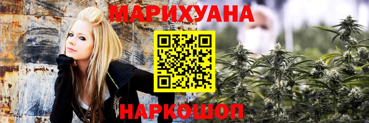 Шишки марихуана план Михайловка