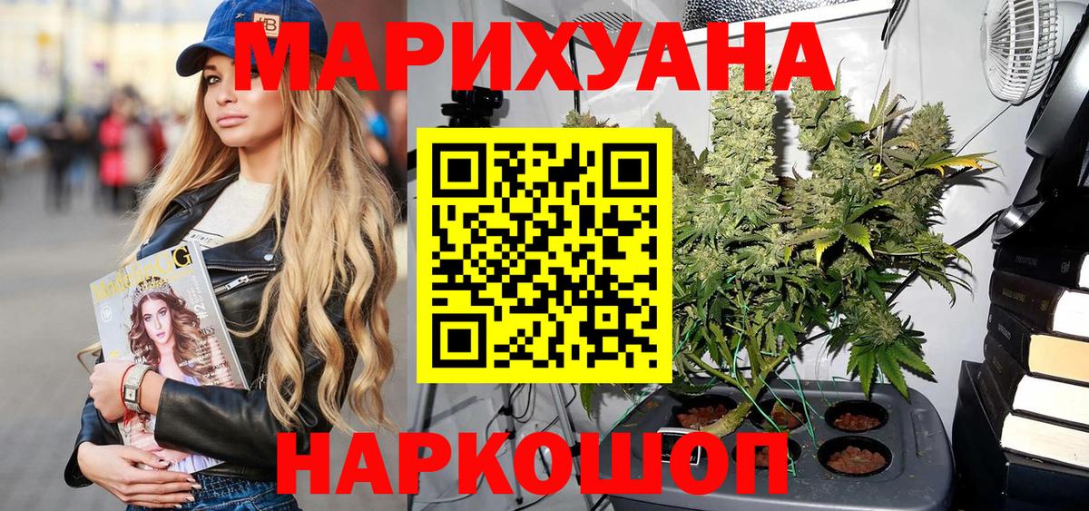 Шишки марихуана марихуана  МАРИХУАНА планчик  Михайловка  Вход с VPN  Конопля SATIVA & INDICA 